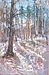    , 40x50, .., 2005
