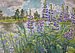   , 50x70, .., 2006