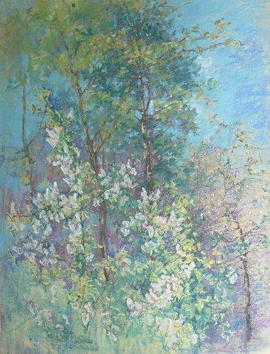 , 50x65, .., 2005