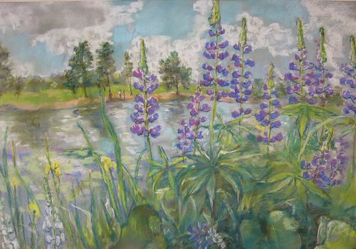   , 50x70, .., 2006